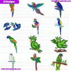 Parrots Embroidery Design Bundle 3