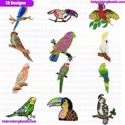 Parrots Embroidery Design Bundle 4